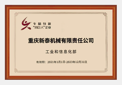 国家级专精特新小巨人企业