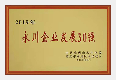 永川企业发展30强