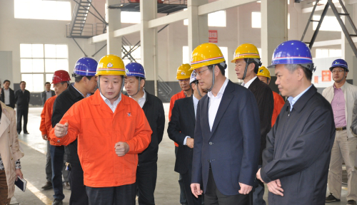 时任重庆市副市长刘强考察调研新泰公司
